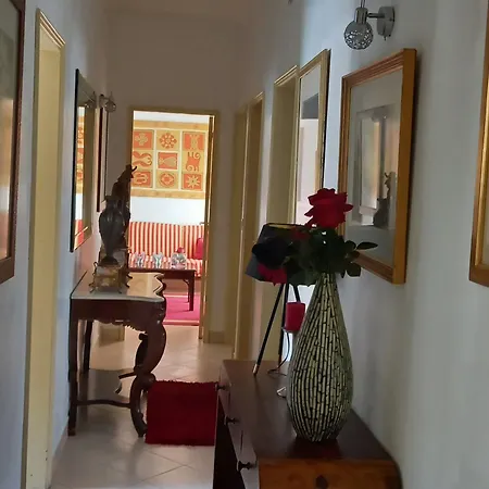 Comfort House ナザレ